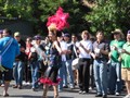 img_2924.jpg